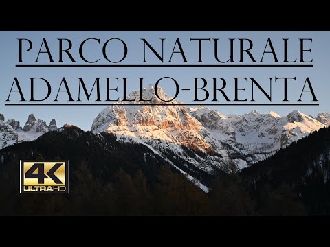Video: Parco naturale 