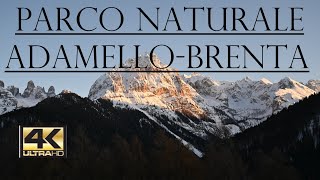 Parco Naturale Adamello-Brenta 4K | Dolomites drone and timelapse