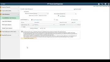VISION Expenses - Create a Cash Advance