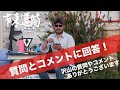 いつもコメントありがとう！アンケートとコメントに頂いた質問に答えます