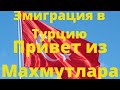 Почему стоит эмигрировать из России / Прогулка по Махмутлару