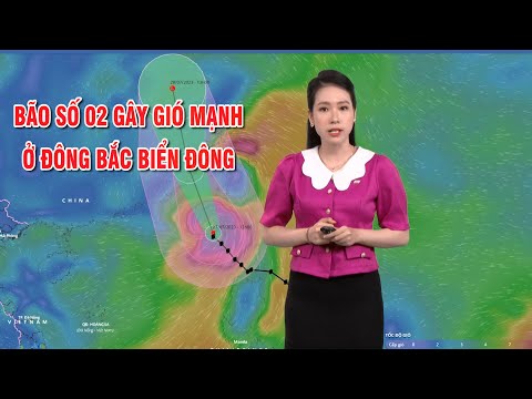 Bản tin thời tiết 27/7: Bão số 02 gây gió mạnh ở Đông Bắc Biển Đông | PTQ
