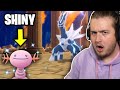 Someone Beat Shining Pearl with only SHINY Pokémon