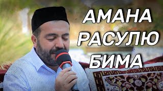 Амана Расулю Бима  два важных аята которых нада выучить