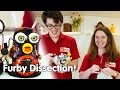 Whats inside a furby  furby dissection  we the curious