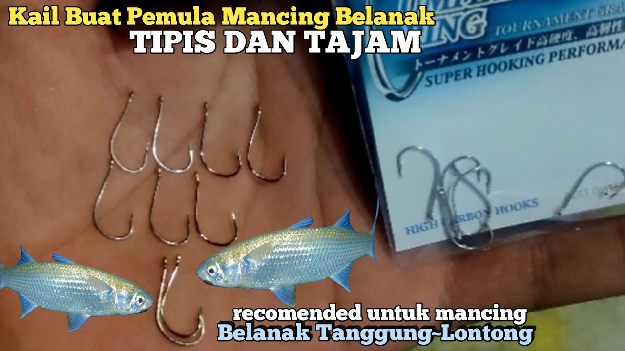Ini Dia Kail Mancing Ikan Belanak Yang Pas Buat Pemula || Tipis dan Tajam