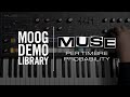 Muse | Per-Timbre Sequencer Probability