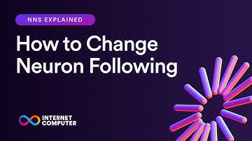 NNS Explained | How to Change Neuron Following