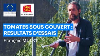 Tomates sous couvert végétal en MSV : résultats d'essais aux Serres de Marcel (27), Francois Mulet