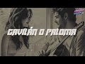 José José - Gavilán o Paloma (Letra)