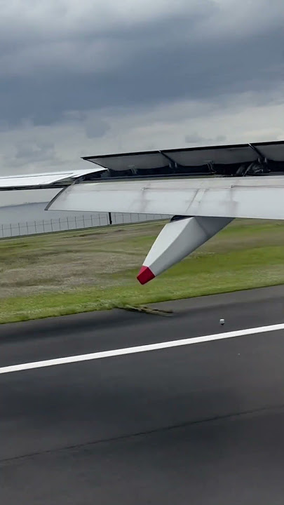 Smooth Landing in TOKYO Haneda International Airport