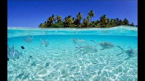 سورة الحاقة .. الشيخ مشاري راشد تلاوة قديمة