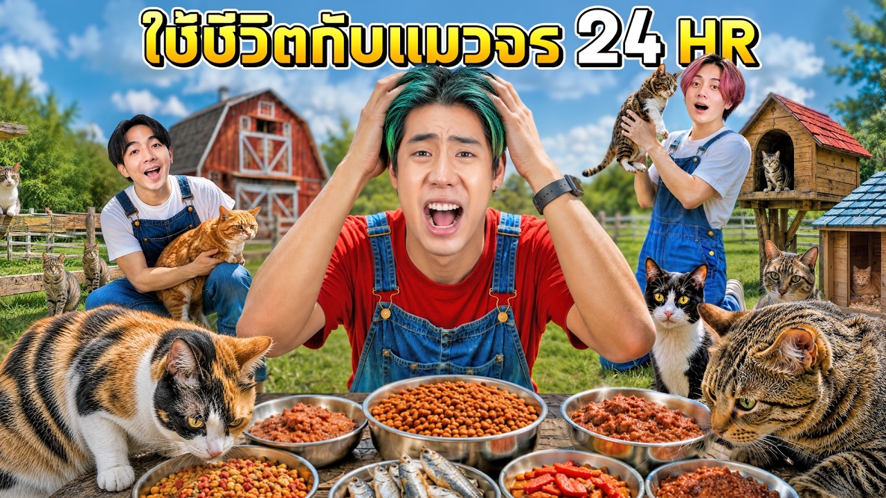 SPD ใช้ชีวิตกับแมว 100 ตัว 24 ชั่วโมง!!! (โดนแมวถล่มยับ)