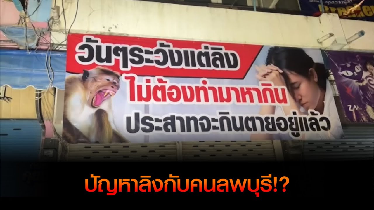 "ปัญหาลิงกับคนลพบุรี!?"