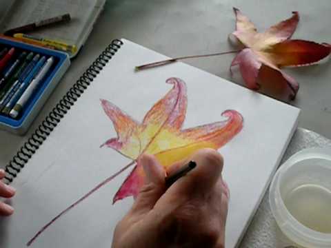Watercolor Crayons- Demonstration 
