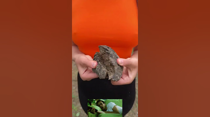 Shock!😱! GIRL uses cow POOP!🐄💩#camping #survival #bushcraft #outdoors #lifehack