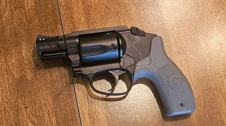 S&W Bodyguard 38 (Long Term Review)