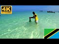 【4K】 Octopus Tenderization Matemwe Beach Zanzibar