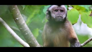 Seabourn Extraordinary Expeditions