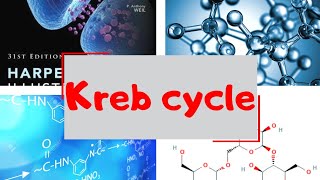 Kreb cycle exeplaned| Pyrovtedehydrogenase |شرح بالعربي