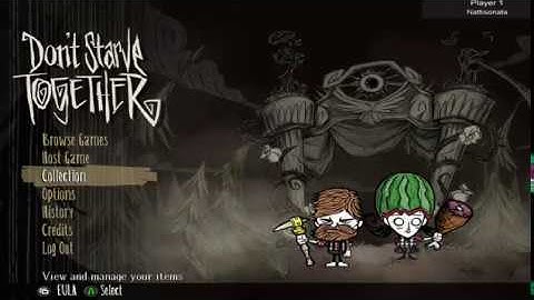 Setting up a Custom World for DST Beginners!