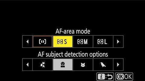 Nikon Z9 Menu Capture Setup Tutorial