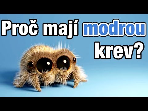 Video: Mikrofonní Pavouci: Vlastnosti Stojánků A Držáků Mikrofonů. Oblíbené Modely. K čemu Jsou Potřeba?