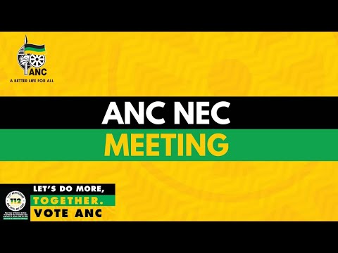 ANC NEC member, Comrade Dr Kgosientsho Ramakgopa talks to the media