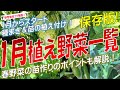 1月植え野菜一覧（春野菜の苗作りのポイントも紹介！）