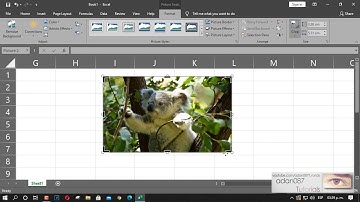 Excel crop an image