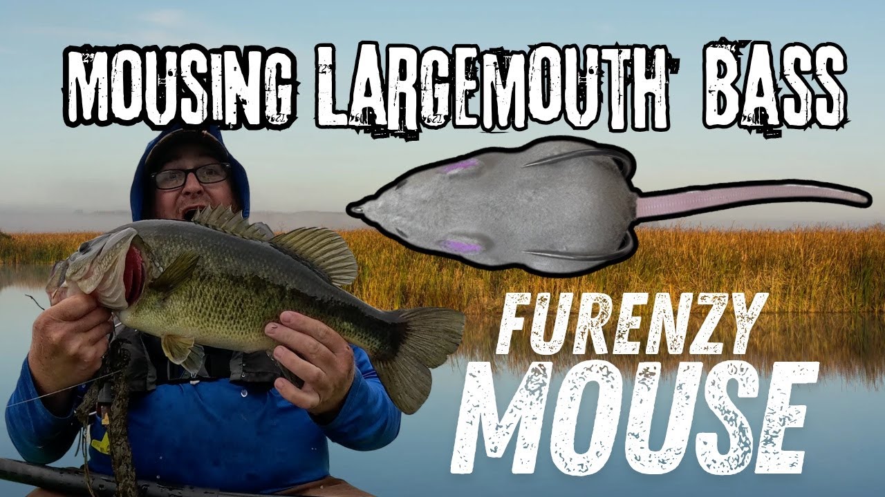 Mousing For Big Largemouth Bass