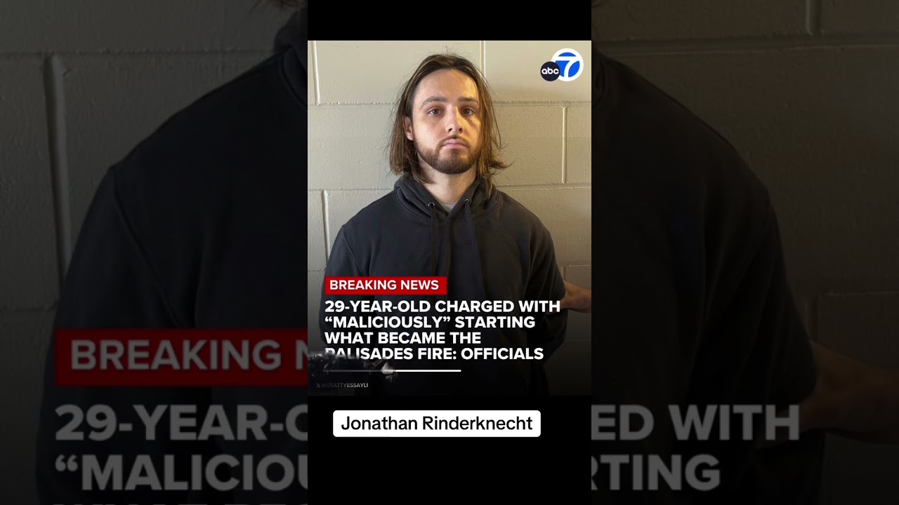 LA Fires California Suspect 