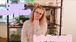 Things to Consider When Getting an Animal Off of Craigslist!