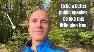 🌲 To be a better public speaker, be like this little pine tree 🌲