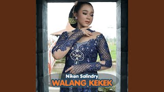 Download Lagu Walang Kekek