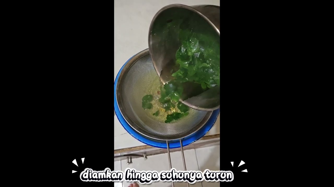 TUGAS PKWU | MEMBUAT MINUMAN DAUN KELOR PEREDA ALERGI MAKANAN LAUT