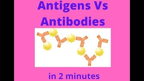 Antigens vs Antibodies in under 2 mins!