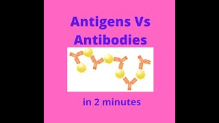 Antigens vs Antibodies in under 2 mins!