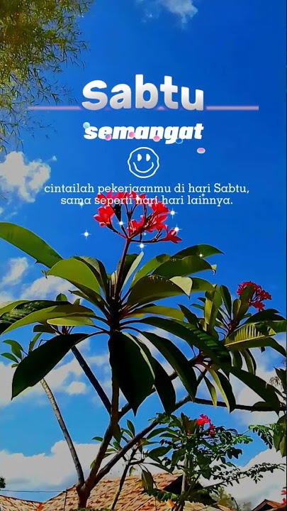 story wa terbaru// story motivasi// story semangat buat hari sabtu