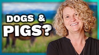 How To Run A Mixed Animal Practice w/ Dr. Christine Staten | Questions With Crocker - Ep44