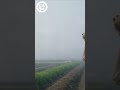 富津リサイクルショップ　⑯「人生を作り直せる場所。」篇