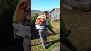 Taking The TRASH Out Of HER LAWN! #satisfying #lawncare #lawnmowing