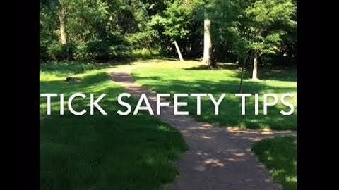 Tick Borne Disease Prevention