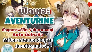 เปิดเหอะ Aventurine ตัวคุณภาพชีวิต V.กันดาเมจหมู่ Auto ยังไหวชิว l Honkai Star Rail