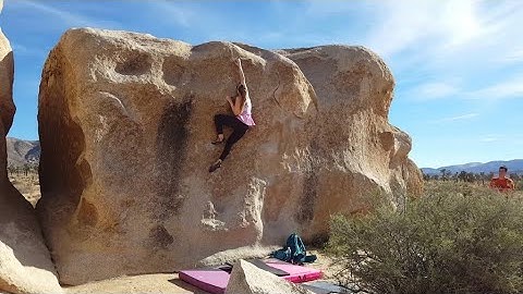 Xylophone** (V2) Send - Joshua Tree