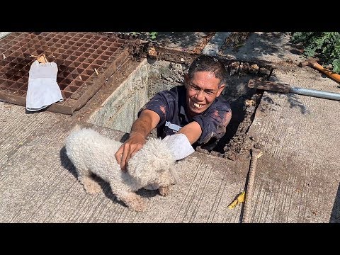 Dog owner climbs in drain to rescue his lost pet