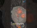 Drone Dives into a Volcanic Eruption: Stunning 4K Footage of Earth’s Fury