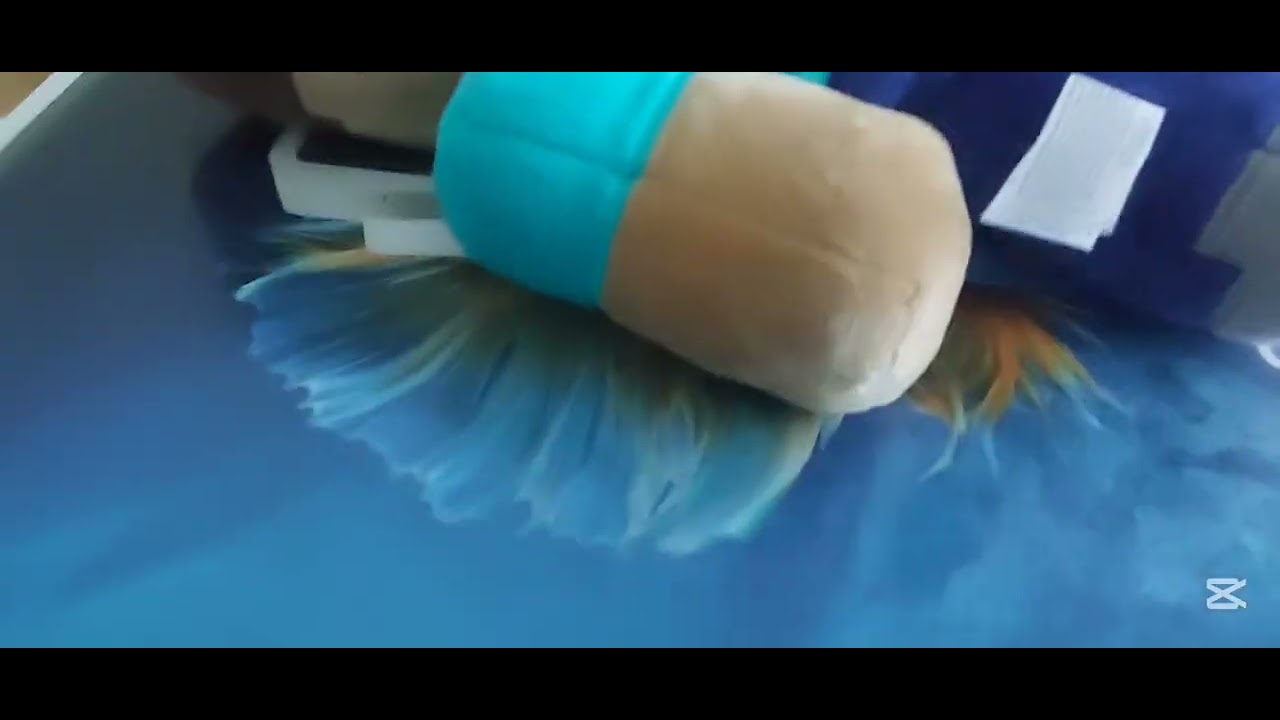 BFADA 7: Duct tape won't fix that