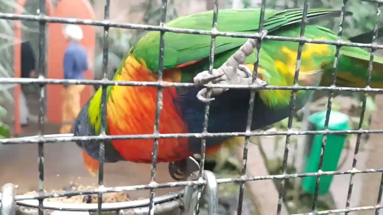 Magical Pantropica (voorheen de Orchideeën Hoeve 