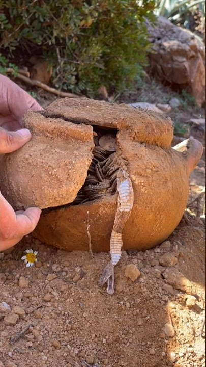 Look what we found while metal detecting